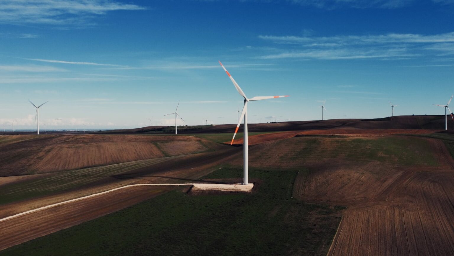 LTW90 – IMAGE VIDEO